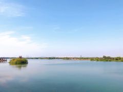 -贡湖湾湿地公园