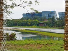 -华侨城湿地公园