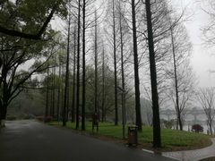 -食膳公园包子铺(烈士公园店)