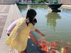 -西双版纳融创皇冠假日度假酒店