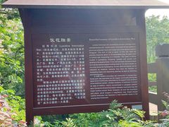 -清溪森林公园