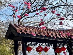 -天目湖山水园