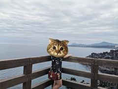 -柱状节理带