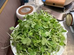 -楚韵小镇·宜昌肥鱼(虹桥国际店)