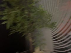 -华夏良子·足道SPA艾灸(图书大厦店)