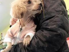 -瑞鹏宠物医院·爱宠堂·骨外专科(西荷分院)