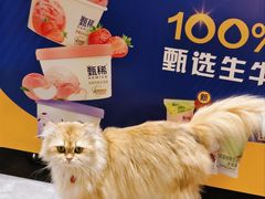 -LJ掼蛋·棋牌会所(徐汇店)