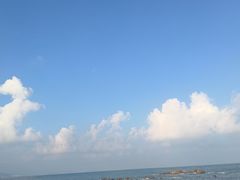 -小麦岛公园