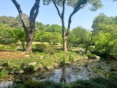 -杭州植物园