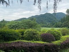 -青城山