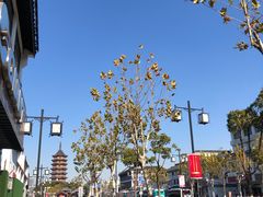 -朱新年·苏式汤团·面点(北寺塔店)