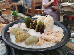 扇贝-丽江庭院之爱在路上(西单店)