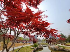 -西海子公园