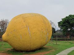 -顺峰山公园