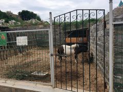 -清风小镇闯关东影视基地
