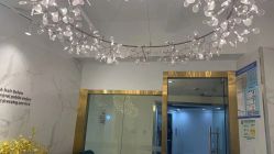 点击看大图 -潘多拉Hairsalon