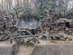 -杭州动物园