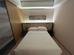 -曙光薇酒店(南京夫子庙老门东店)