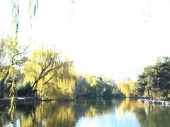 -北京动物园