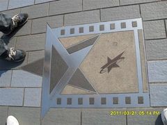 -星光大道