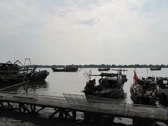 -大湾区中央湿地公园-十九涌
