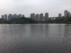 -重庆彩云湖湿地公园
