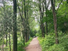 -碓臼峪自然风景区