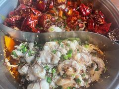 -百岁鱼(七一路店)