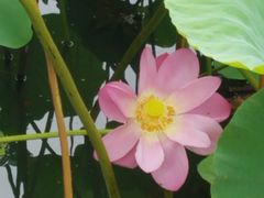 -肯德基(南京站A2检票口楼上)