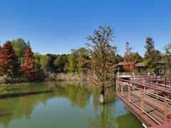 -同里国家湿地公园