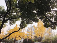 -苏州市立医院本部母子保健中心