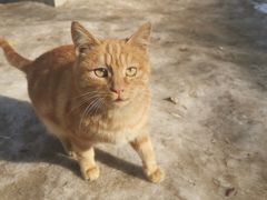 -终南山南五台景区