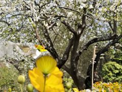 -名花谷生态庄园