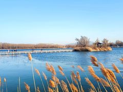 -野鸭湖国家湿地公园