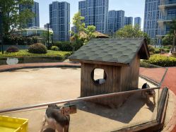 -造物庄园 萌宠纪(苏州湾歌林公园店)