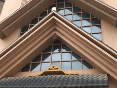 -蓝鲸湾汤泉(包河店)