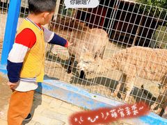 -武汉紫薇都市田园