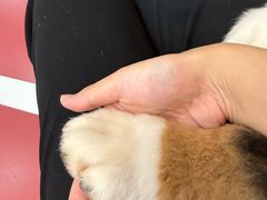 -和它·交个朋友·狗咖猫咖(爱琴海店)