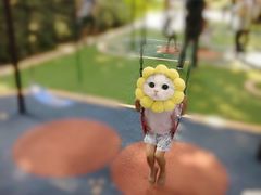 -天河儿童公园