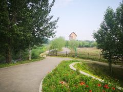 -东郊湿地公园