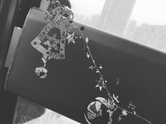 -琴岛之星摩天轮