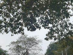 -火炉山森林公园