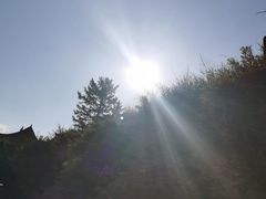 -瞿昙寺