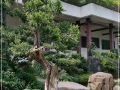 -南山植物园