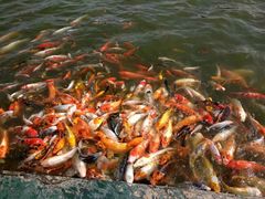 -北戴河圣蓝海洋公园