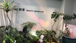 -Lumi露米·美甲美睫品质店