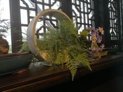 -舒羽咖啡(运河店)