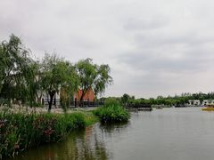 -上海长兴岛郊野公园