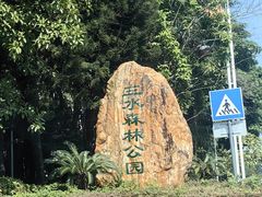 -三水森林公园