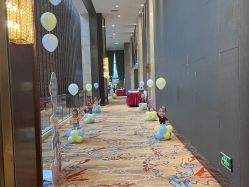 -成都世外桃源酒店-宴会厅·草坪婚礼·会议活动